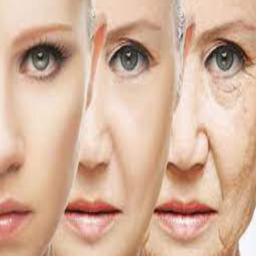 Anti-ageing (Elasticity/Firmness/Lifting)