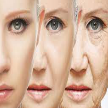 Anti-ageing  (Elasticity/Firmness/Lifting)