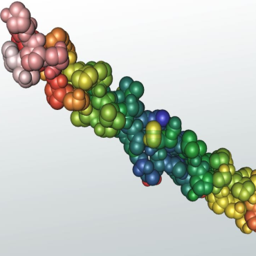 Collagenase Inhibition
