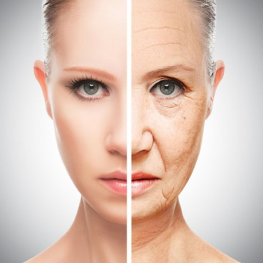 Anti-ageing activity