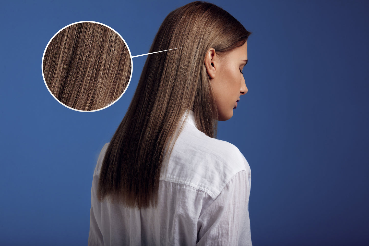 Comprehensive Hair growth, regrowth, and hairfall study